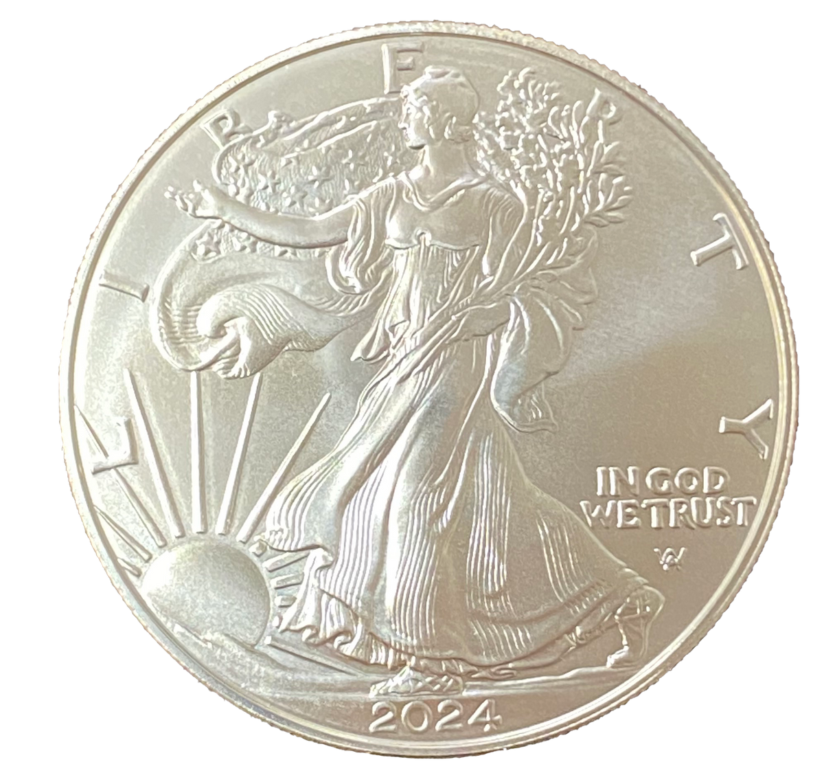 2024 American Silver Eagle MidMichigan Coin and Jewelry