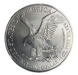 2023 American Silver Eagle