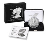 American Eagle 2025 One Ounce Silver Uncirculated Coin