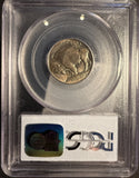 1913 T-1 Buffalo Nickel, MS66 PCGS (14154)