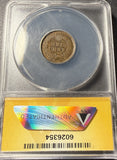 1876 Indian Head Cent, AU50 ANACS, (15328)