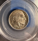 1916 Buffalo Nickel, MS64 PCGS. (15824)