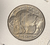 1919 Buffalo Nickel, MS60+, (16286)