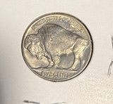 1931-S Buffalo Nickel, MS+, (16356)