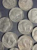 Dealer Lot, 16pcs AU-UNC 1936-1937 Buffalo Nickels (16466)