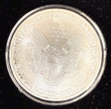 2002 American Silver Eagle 1oz, Enameled, (17158)