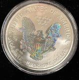 2004 American Silver Eagle 1oz, Enameled, (17166)