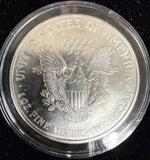 1999 American Silver Eagle 1oz, Enameled, (17172)