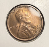 1929-S Lincoln Wheat Cent, MS+ Red/Brown (18480)
