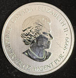 2015 Canada "Special Service Force, Canada/USA 1/2oz Silver .9999