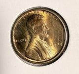 1909-P VDB Lincoln Wheat Cent, Choice Uncirculated Red (20174)
