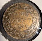 1900 Canadian Large Cent, Lightly Circulated. (20530)