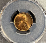 1909-P VDB Lincoln Wheat Cent, MS64RD PCGS, (21304)