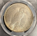 1921 Peace Silver Dollar, MS63, PCGS (21371)