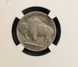 1919-D Buffalo Nickel, AU50 NGC, (23186)