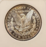 1882-S Morgan Silver Dollar, Great Color, MS64 NGC Fatty. (23208)
