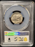 1913-D Type-1 Buffalo Nickel,  MS64 PCGS (23558)