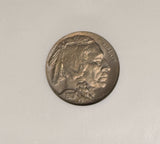 1919-P Buffalo Nickel, MS64 NGC (28584)