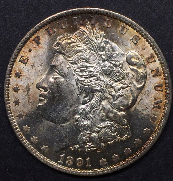1891 Morgan Silver Dollar, MS64